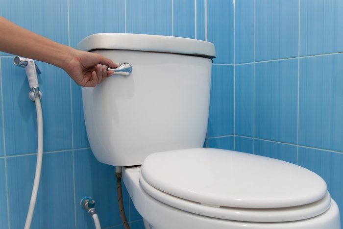 Pengembangan Toilet dan Penggunaan Flush